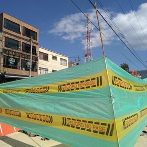 -uploads-products-tela-pp-verde-impresa-peligro-54g-ancho-de-1m-photos-54907-100