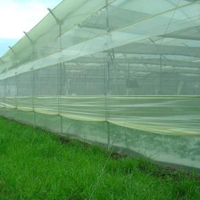 -uploads-products-agrolene-verde-cal6-ancho-de-3m-photos-52289-100