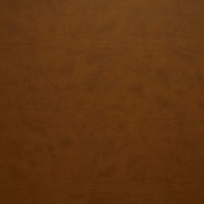 uploads-products-angus-caramelo-photos-2024-05-15-145352259870-caramelo_angus