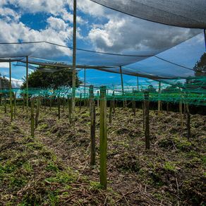 -uploads-products-multisombra-negra-65-ancho-de-4m-2-photos-62488-100